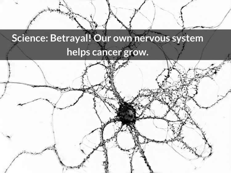 Science: Betrayal! Our own nervous system helps cancer grow.