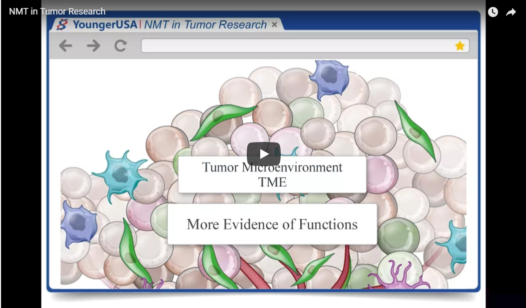 NMT in Tumor Research