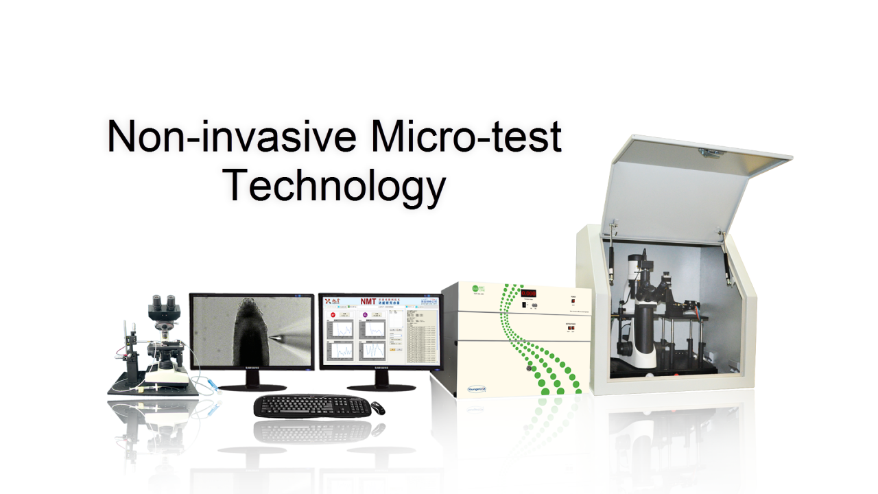 Learn more about NMT:Non-invasive Micro-test Technology