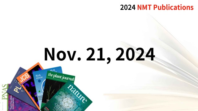 Recent NMT Publications 11/21/24