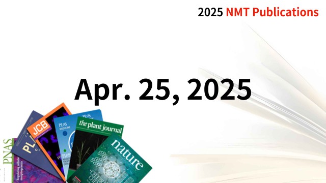 Recent NMT Publications 04/25/25